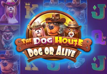 The Dog House